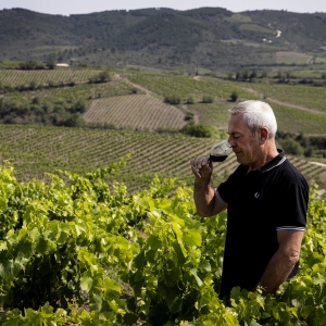 Les Maîtres Vignerons de Cascastel